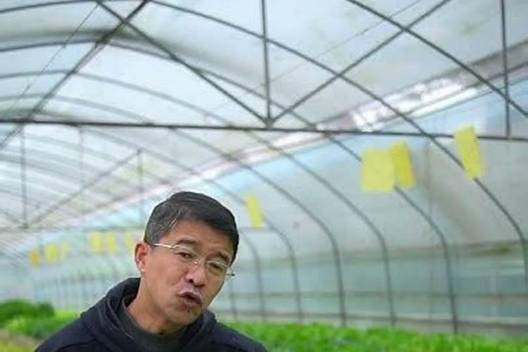 为什么说鱼池的水适合浇花种菜,分享下自己