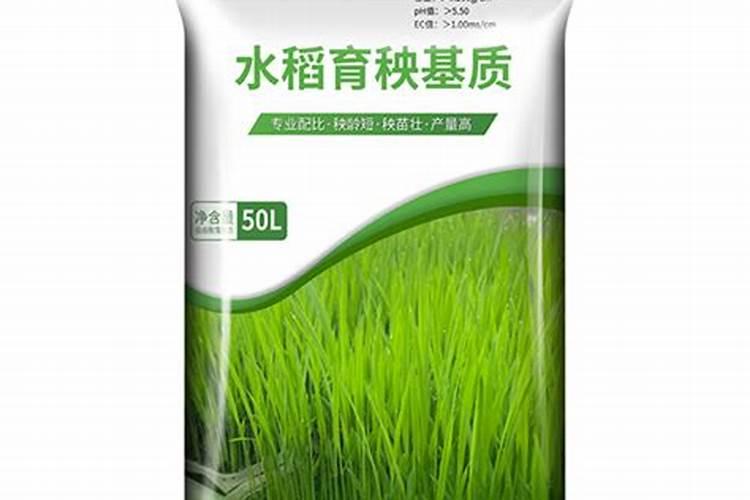 种水稻用什么肥料最好