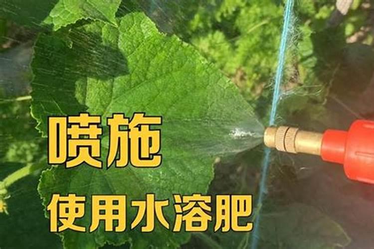 液体氮肥的使用方法