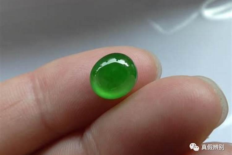 水溶肥和特肥有什么区别啊？