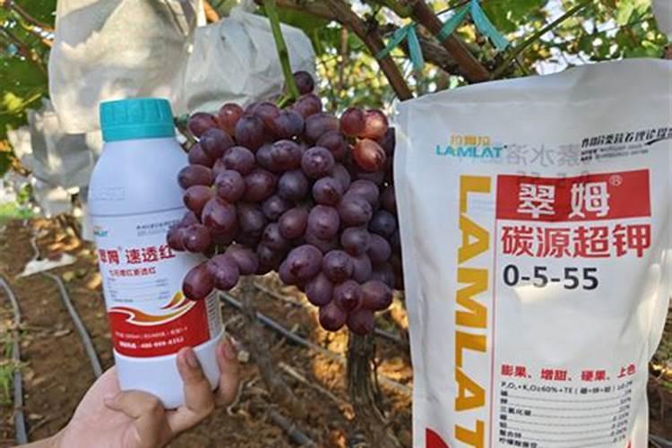 2025年上半年氯化钾涨幅多少