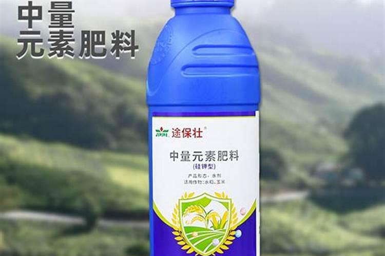 甘蔗需要每天浇水吗