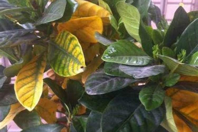 为什么会打雷下雨