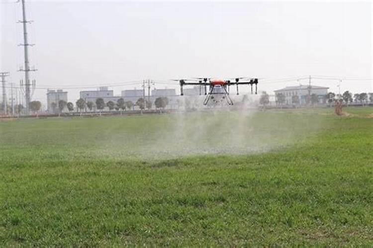 玉米营养肥金大棒水溶肥能打向日葵吗