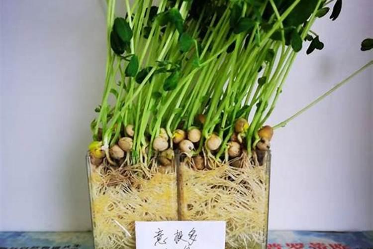 运动员用的镁粉是什么成分