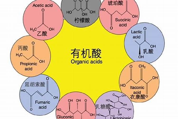 腐叶土需要发酵多久 腐叶土的发酵时间是多久？