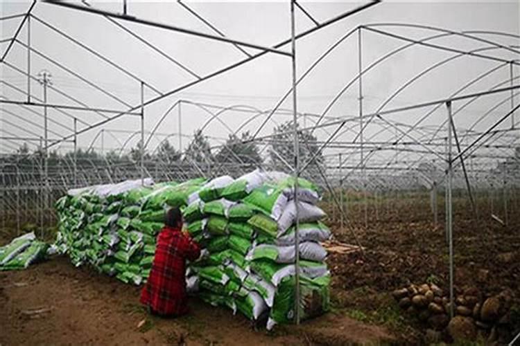 花生用什么叶面肥好？叶面肥喷几次