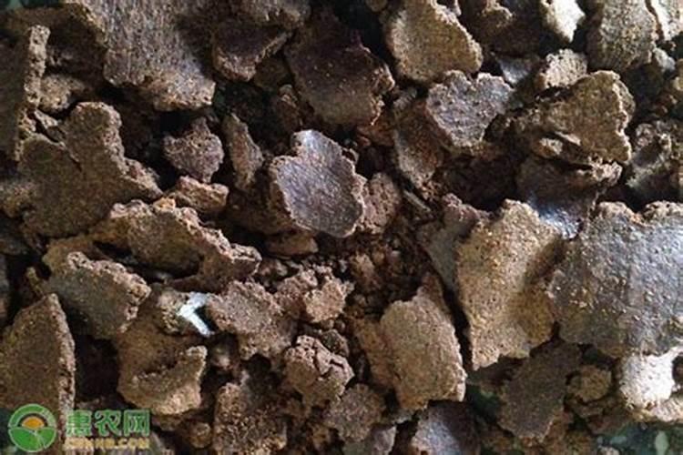 种蔬菜,用饼肥怕烧根,掌握哪些简单的腐熟方法,肥效会更好？