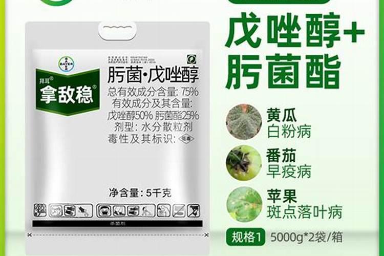 辣椒的后期管理措施有哪些？