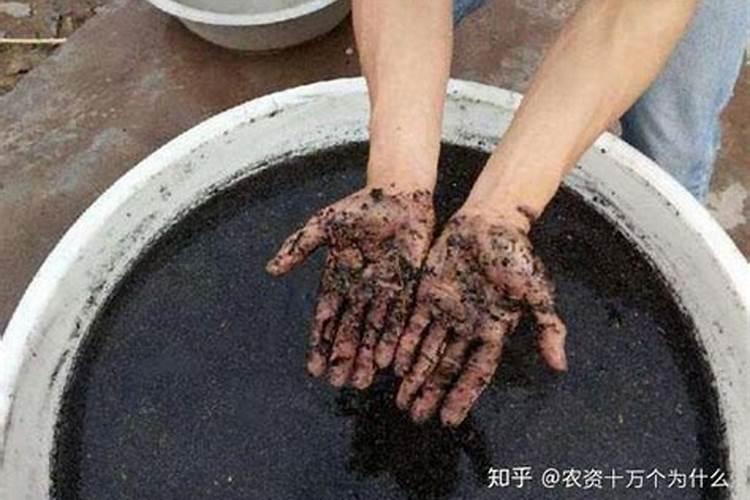 草木灰怎么施肥最好