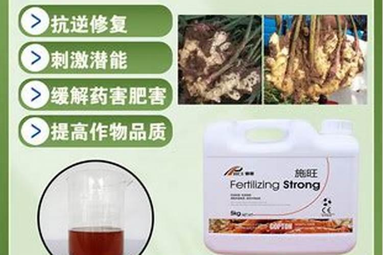 怎样使用镁肥？