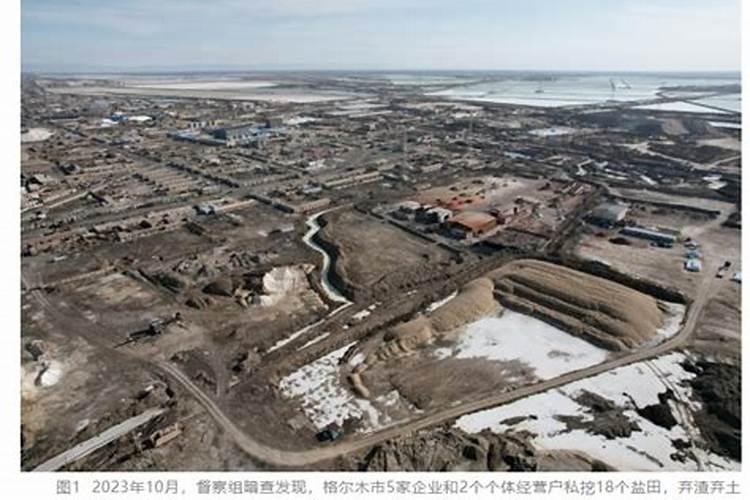 自制磷肥有哪些