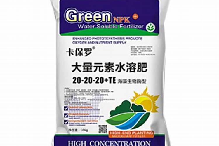 德阳有哪些大工厂？