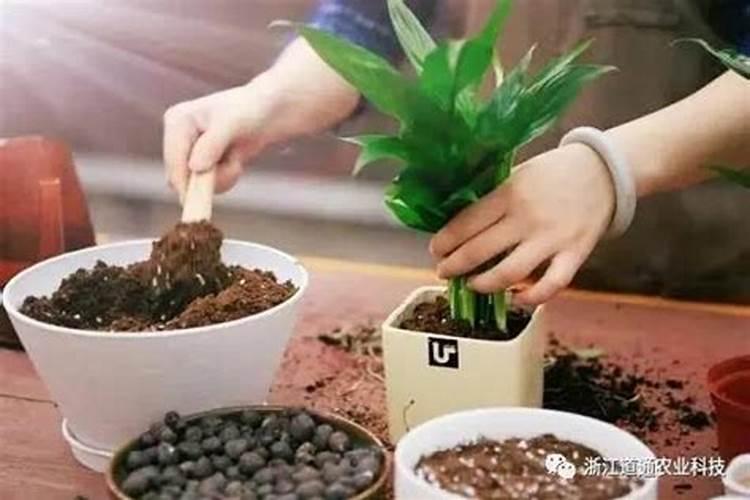 下完雨撒水溶肥可以吗