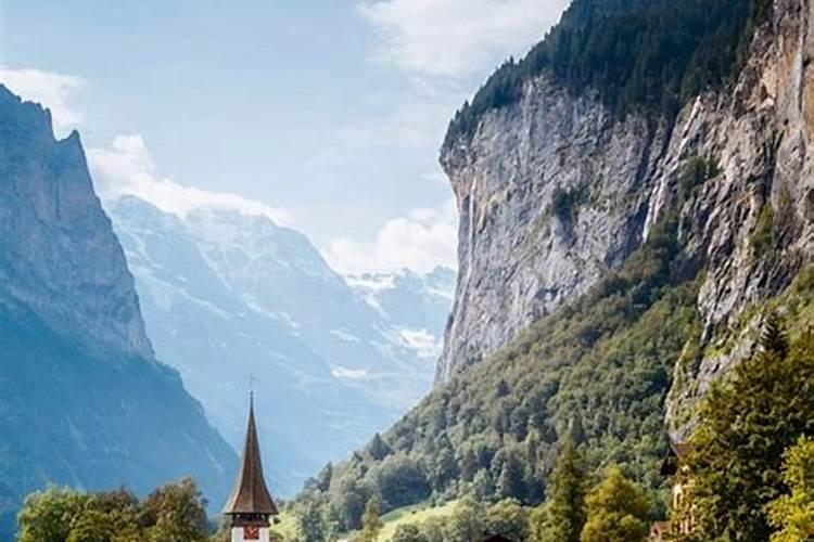 有机肥发酵剂的配方