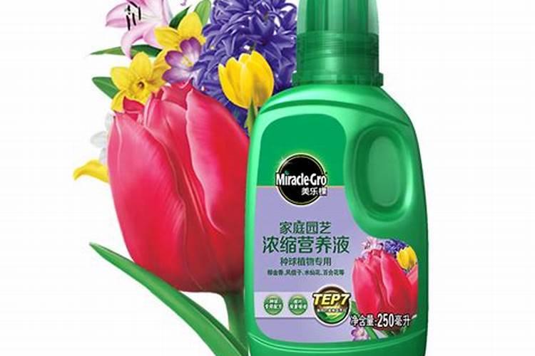 水溶肥可以撒施吗