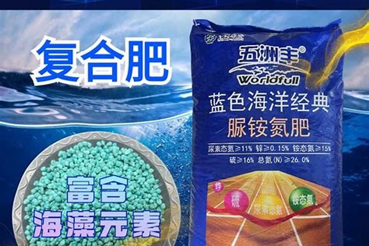 绿萝用什么肥料