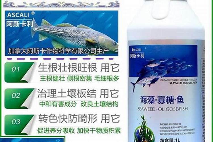 海藻鱼蛋白水溶肥料作用