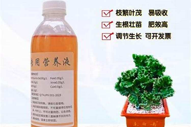 金银花施什么肥料最好