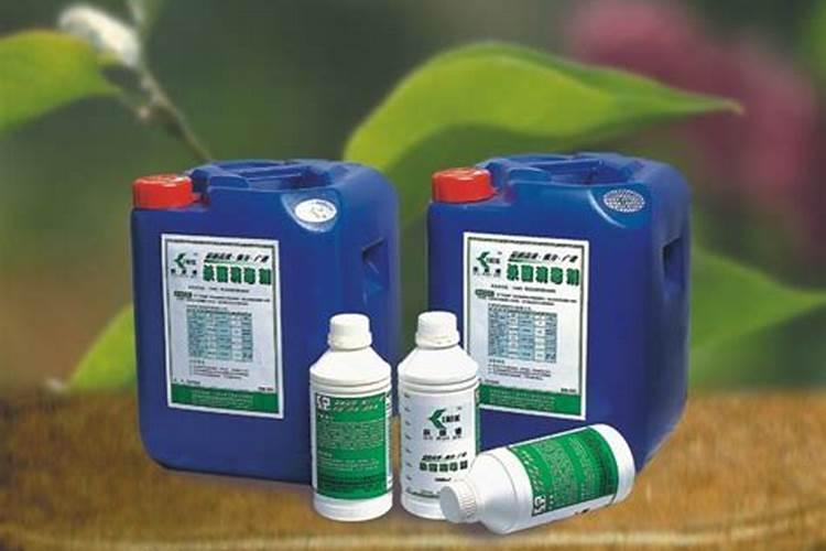 农家肥为什么一定要发酵