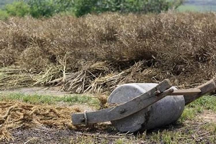 请问种麦子施基肥用绿化钾三个十五好,还是二个十七钾肥含一个七好