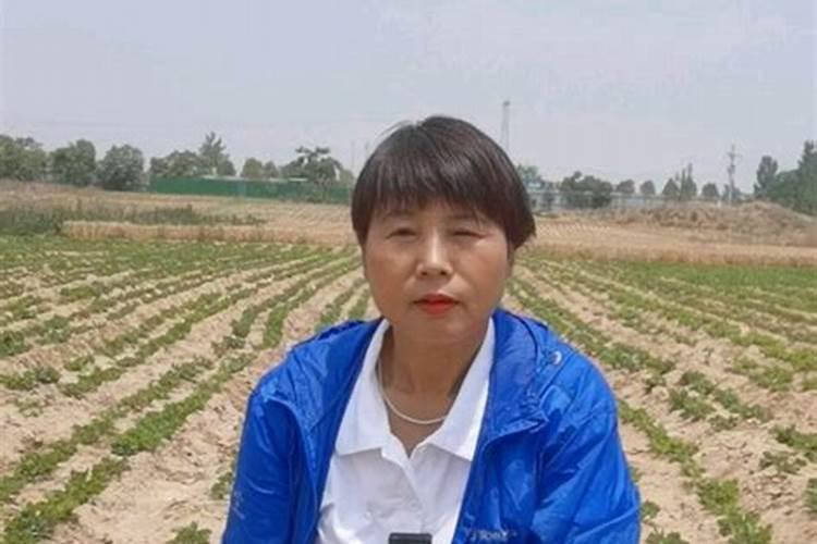 种花一般是先施肥？还是先浇水？还是先挖坑？