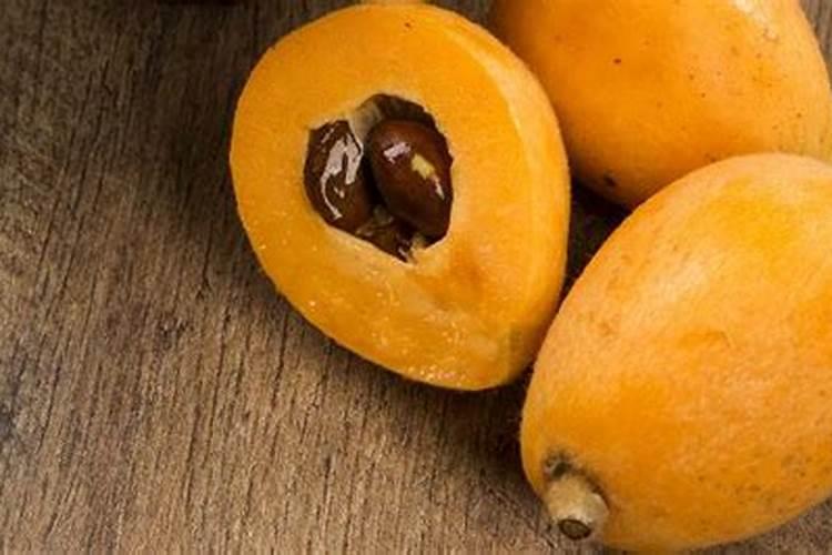 如何给太阳花施肥