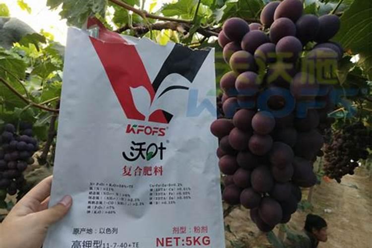 平衡肥膨果快还是高钾肥快