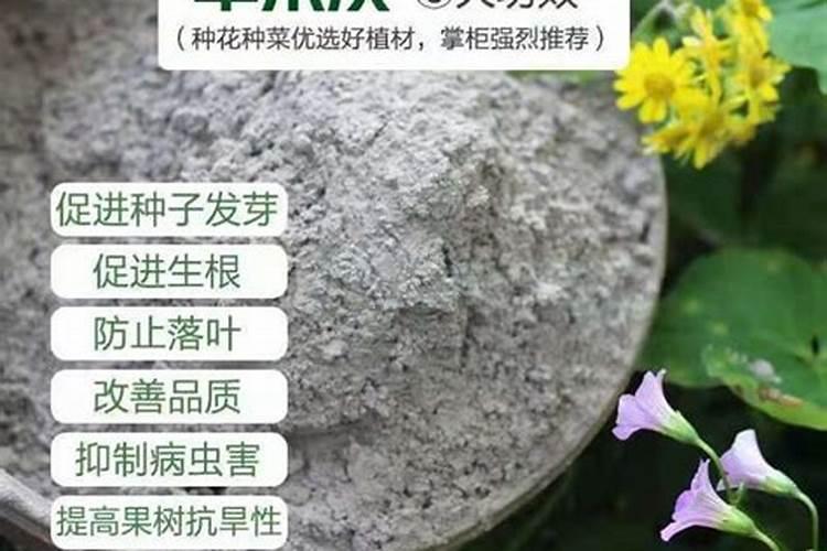 杨梅树施硼肥起什么作用,硼肥的使用方法