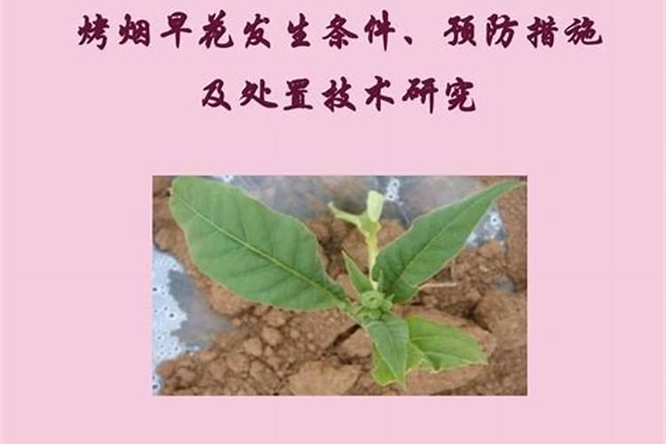 多少个钾才叫高钾肥