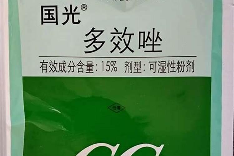 芒果控梢多久能催花