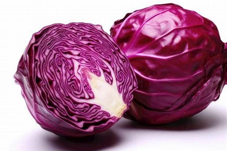 西红柿苗怎么浇水