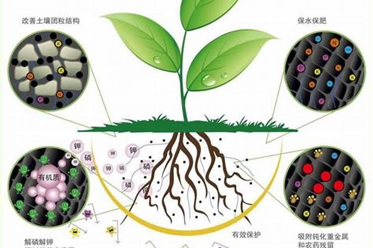 大葱整个周期都用什么肥料？