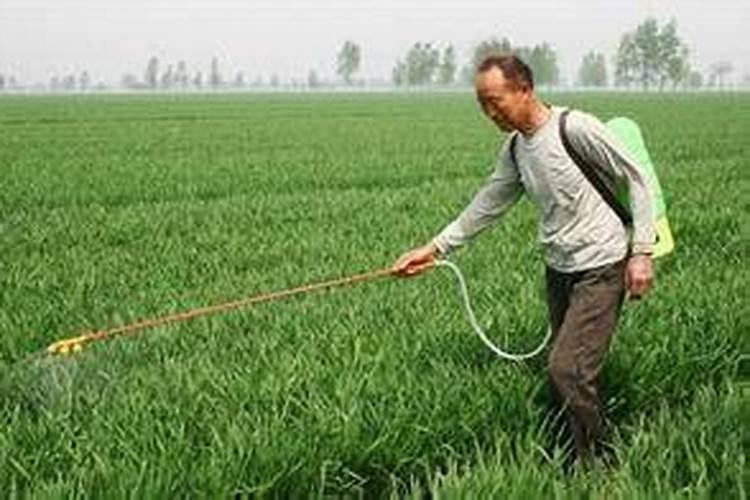 硝酸镁有什么用