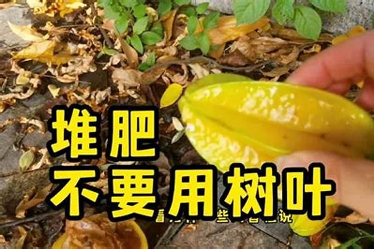 ...埋在土里太多了,现在部分树叶发黄,有什么补救方法吗？