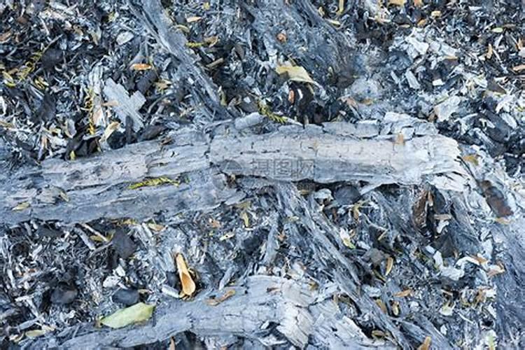 核桃树施肥多了,树叶焦了怎么办？