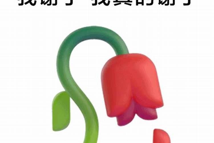 大樱桃谢花后施什么肥