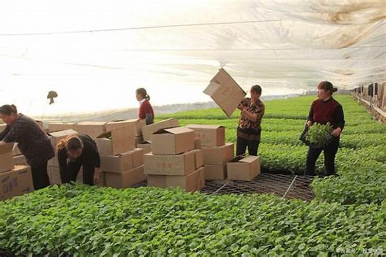 都说在农村卖化肥的利润大,一袋化肥能够赚多少？