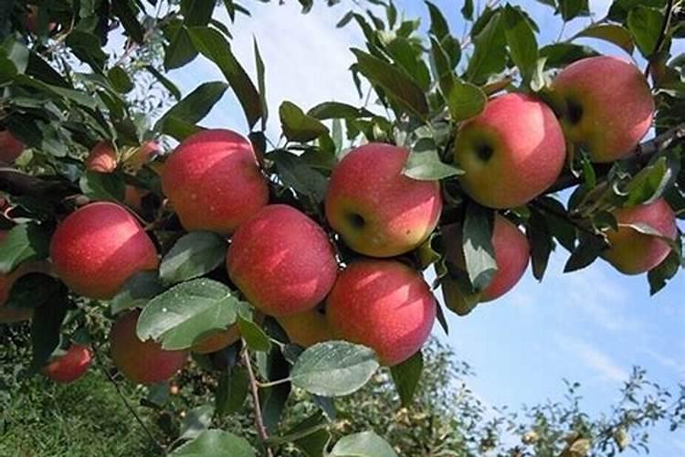 浙江欧格纳科海洋生物科技有限公司怎么样？