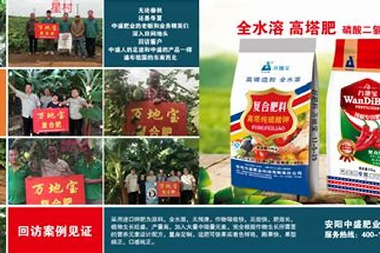 槟榔病虫害病特效配方