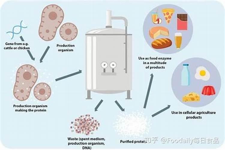 牛肝可以做氨基酸肥料吗？