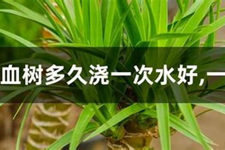 水溶肥是什么肥料 水溶性肥料的优缺点有哪些
