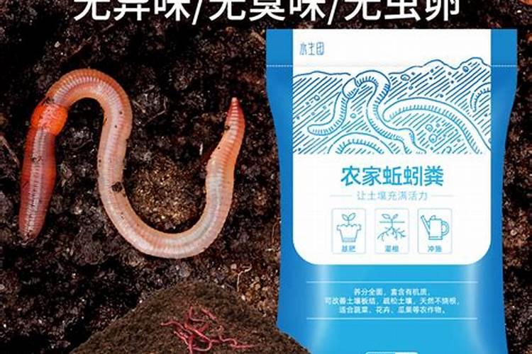 进行黄瓜栽苗操作要用啥鲜有人知的肥料