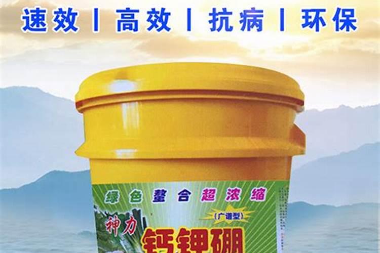 八月瓜种植几年才结果