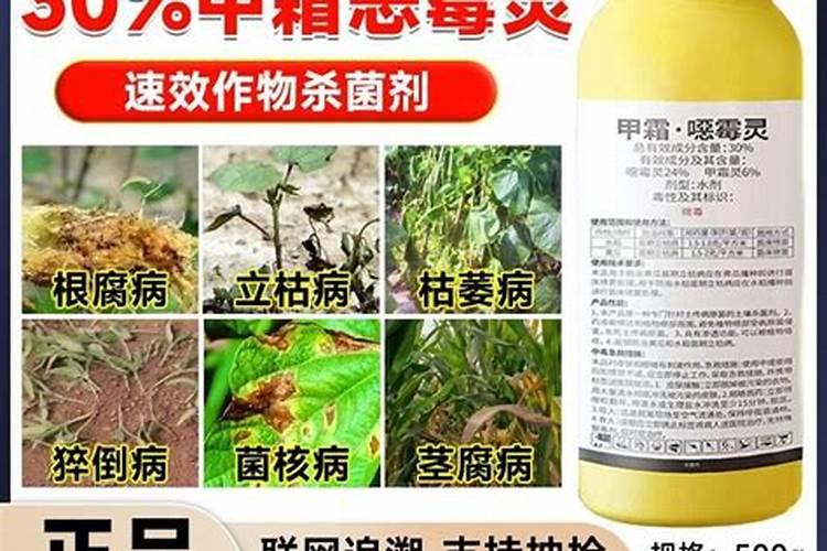 解决重茬问题最彻底的办法,重茬土壤杀菌剂有哪些