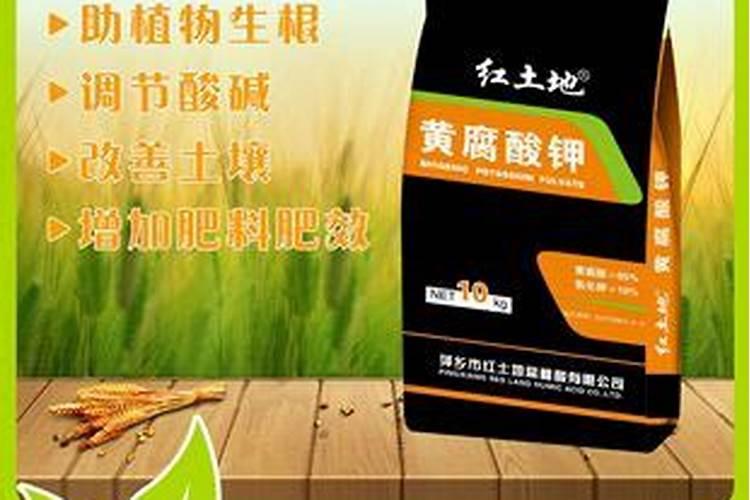 你觉得种红薯用什么基肥比较好？