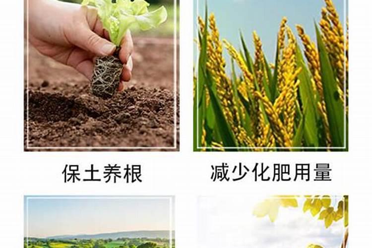 黄腐酸钾最佳使用方法