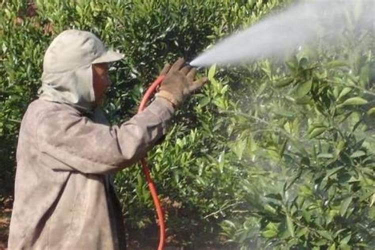 磷钾肥是什么肥 磷钾肥是什么肥料