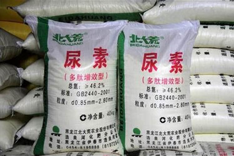 氮肥是什么肥料哪些属氮肥