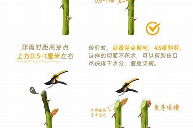 西瓜膨大期打什么叶面肥长的快？西瓜结果期需要用哪种肥料？